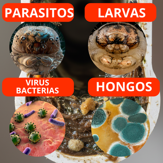 Fórmula Protección Total